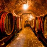 Visitar bodegas de vino en Oporto
