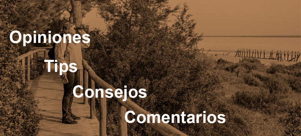 Tips y consejos Parque de Doñana